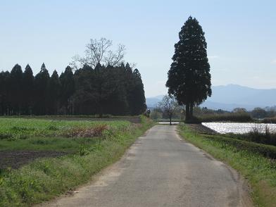 田嶋氏九州自然歩道表紙の写真