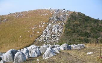 石灰岩の平尾台